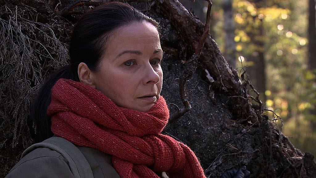 Salatut elämät: Paula (Johanna Nurmimaa)