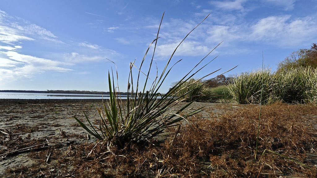 Veden pinta matalalla Fort Parker Lakessa Groesbeckin kaupungissa Teksasissa 8.12.2011.