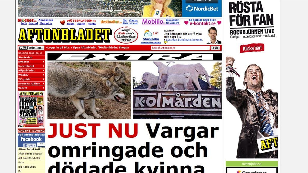 Susi tappoi eläintenhoitajan Ruotsissa. Kuvakaappaus Aftonbladetin nettisivuilta.