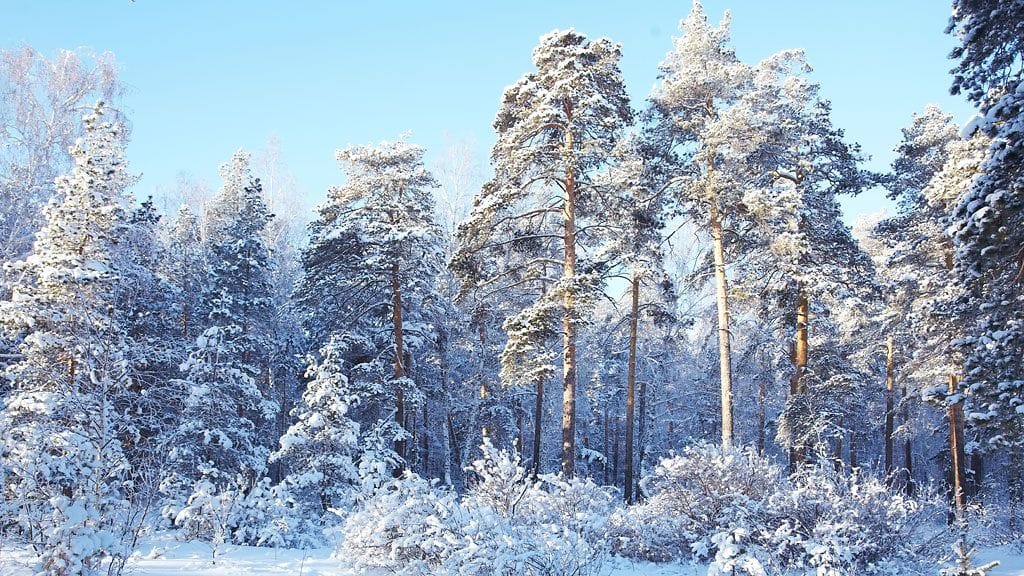 Sankaripojat löysivät tytön kylmästä pakkasyöstä. Kuvituskuva.