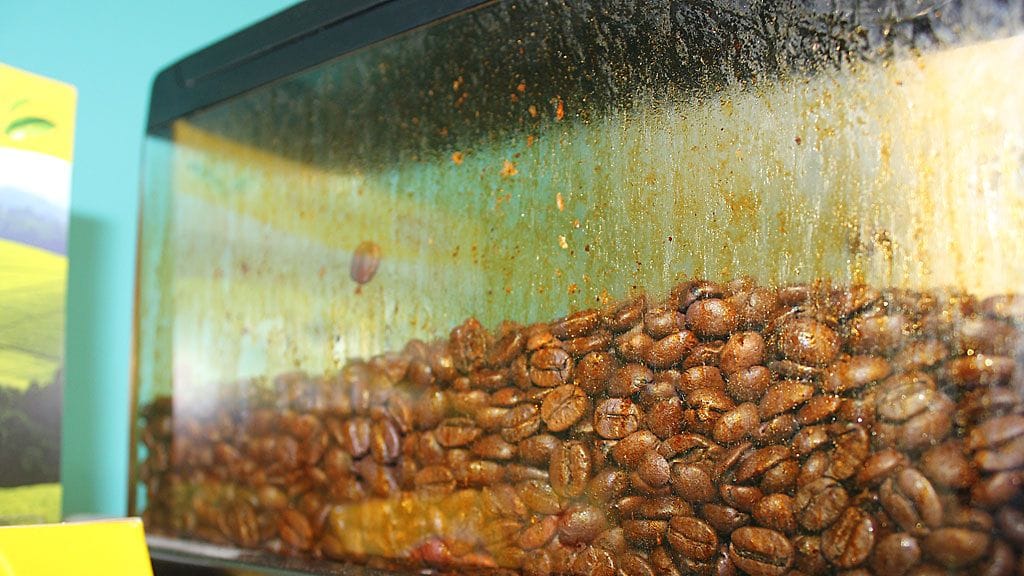 Tätä työpaikan kahviautomaattia ei ainakaan ole pesty päivittäin ohjeiden mukaan.