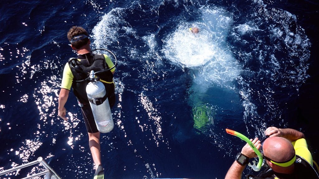 Sukeltajia Hurghadassa, Egyptissä.