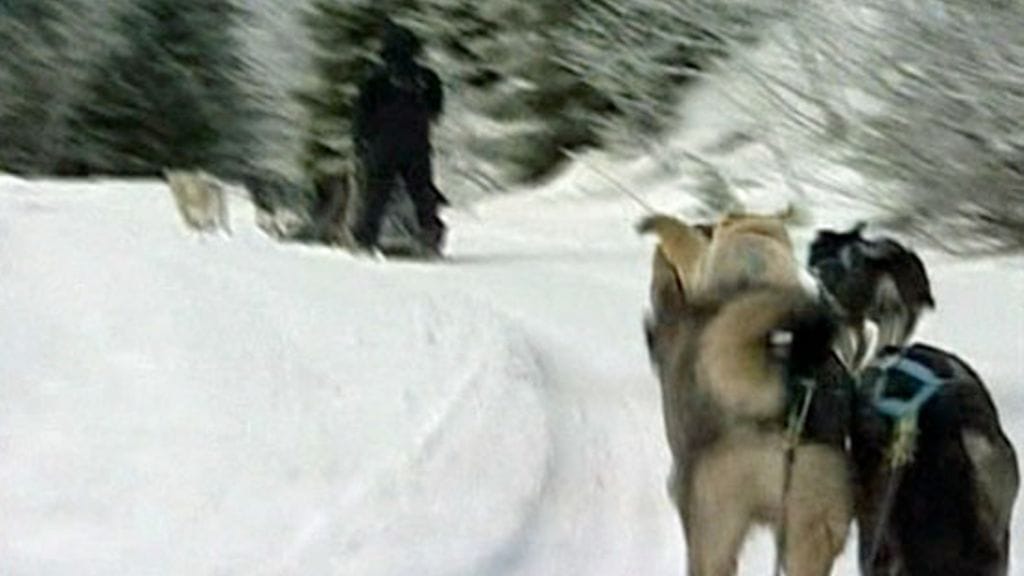 Kuvituskuvan koirat tai valjakon ohjastaja eivät liity uutiseen.