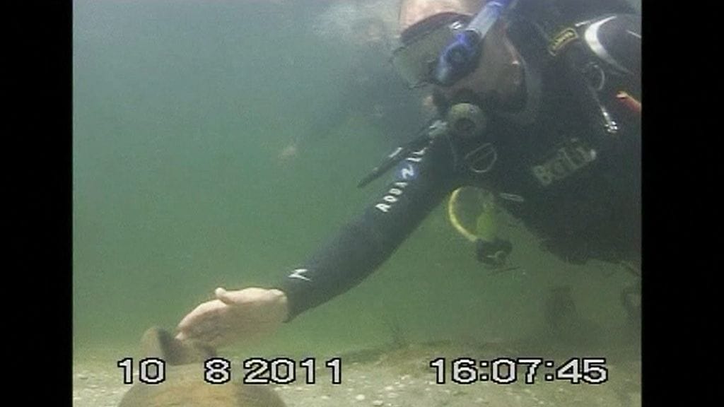 Kamerat olivat mukana Putinin elokuisella sukellusretkellä, joka nyt on myönnetty lavastukseksi.