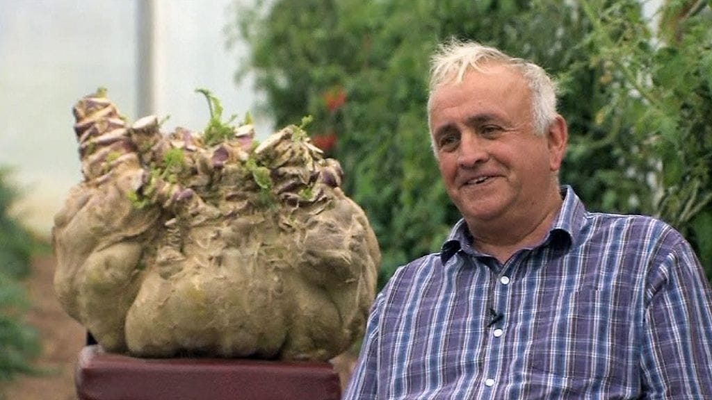 Ian Nealen kasvattama lanttu painaa38,7 kiloa.