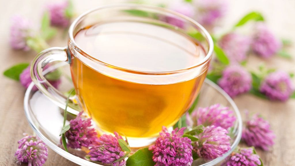 Apilankukista voi valmistaa raikasta teetä.