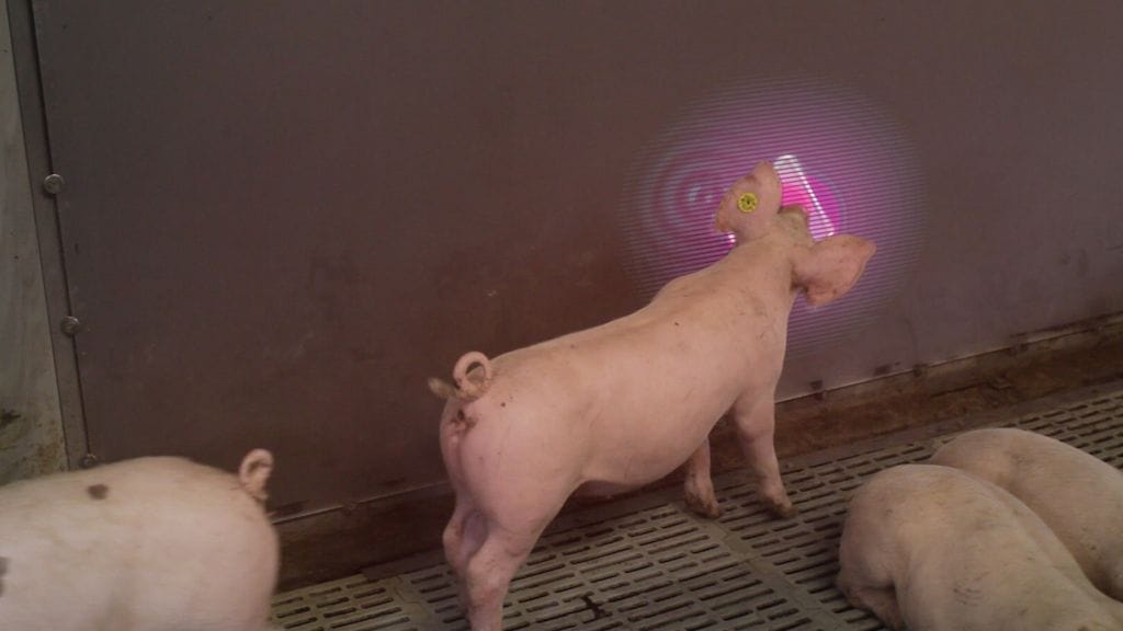 ÄLÄ KÄYTÄ, MENOSSA VARPUN JUTTUUN MYÖHEMMIN