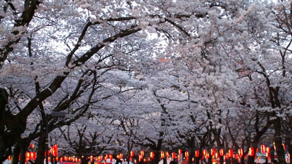 Puisto Sendain kaupungissa vuonna 2006. Kuva: Sami Kuivasaari