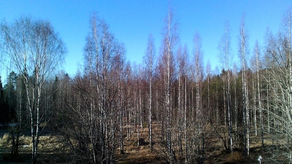 Memo Pad 8-kuvatesti