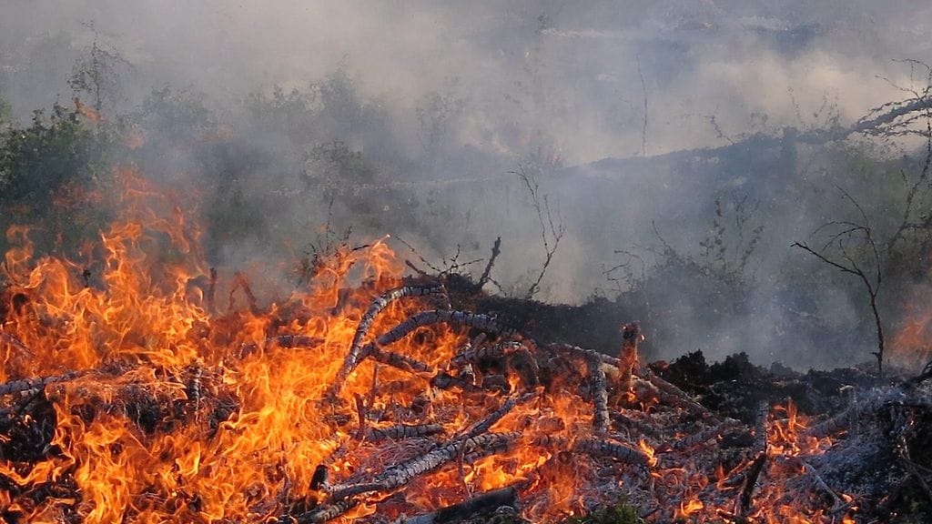 Kuvituskuva kulotuksesta.