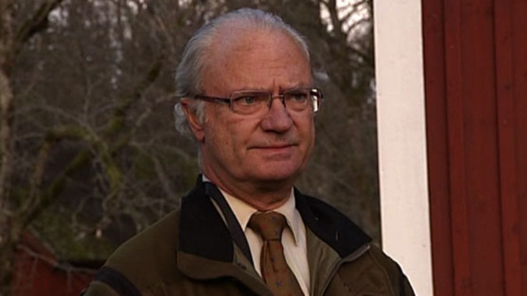 Ruotsin kuningas Kaarle XVI Kustaa kommentoi kohukirjan väitteitä lehdistölle 4.11.2010