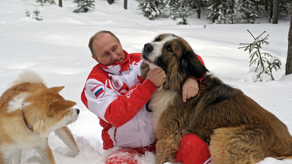 Vladimir Putin Jumen (vas.) ja Buffyn kanssa vuonna 2013.