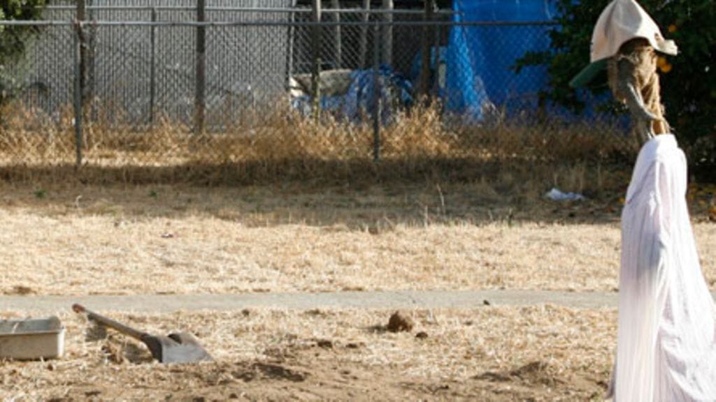 Tällä takapihalla 11-vuotiaana kidnapattu Jaycee Dugard ulkoili lastensa kanssa. Kuva otettu naapurin takapihalta.