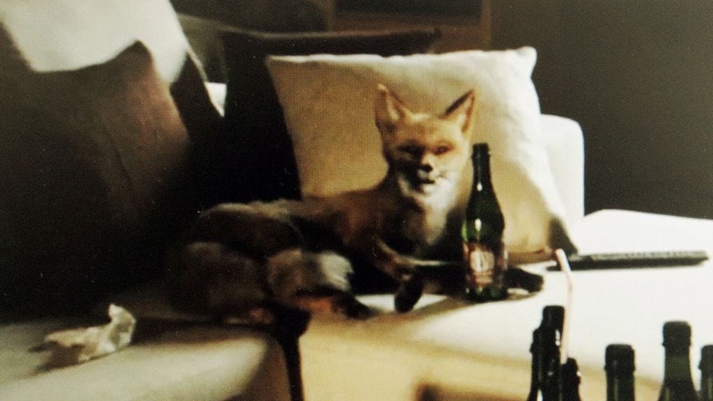 Moniavioinen kettu Olvin mainoksessa.