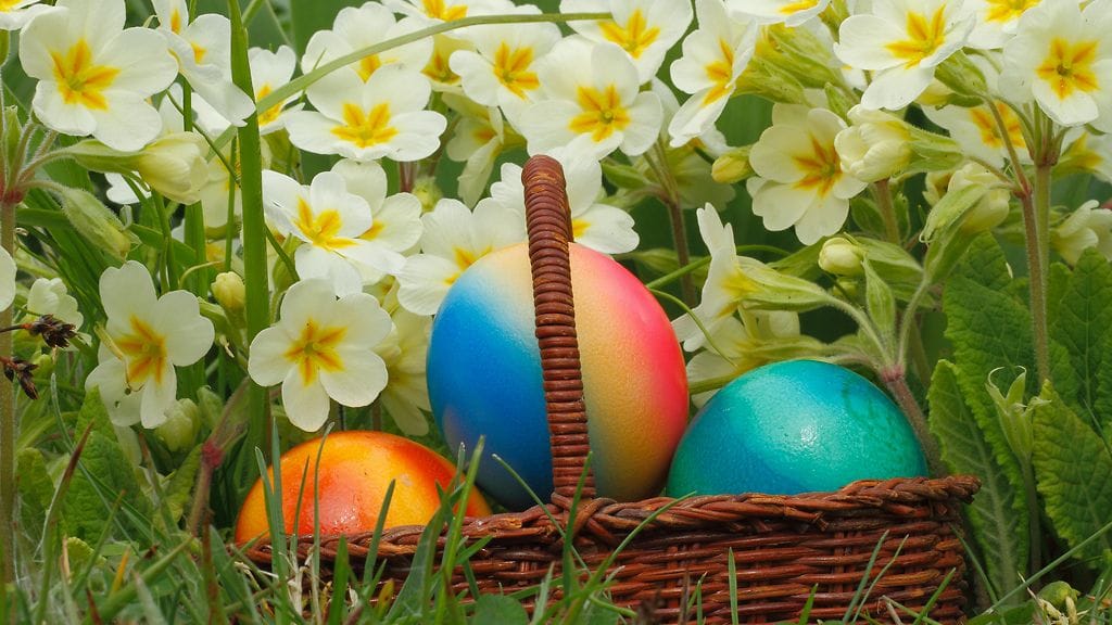 Munakennosta piilopaikka pääsiäismunille?