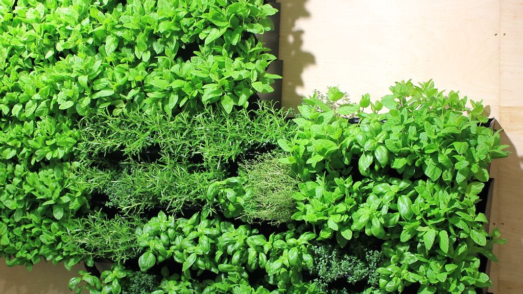 Piha ja Puutarha Turku 2014