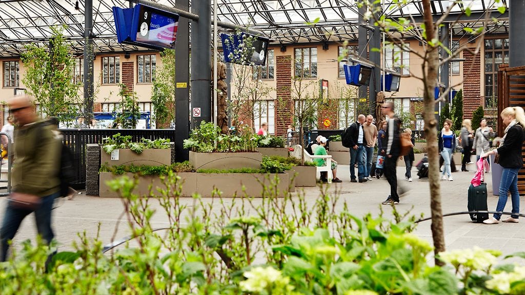 Ihmepuutarha Helsingin rautatieasemalla 2013. Kuva Green Care