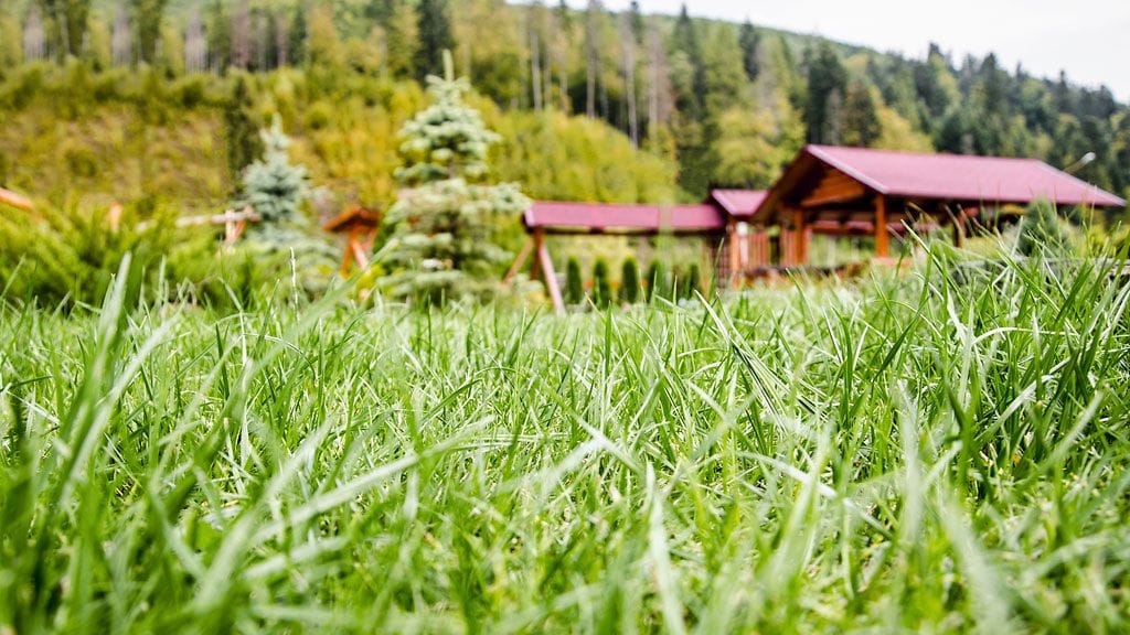Kuvituskuva