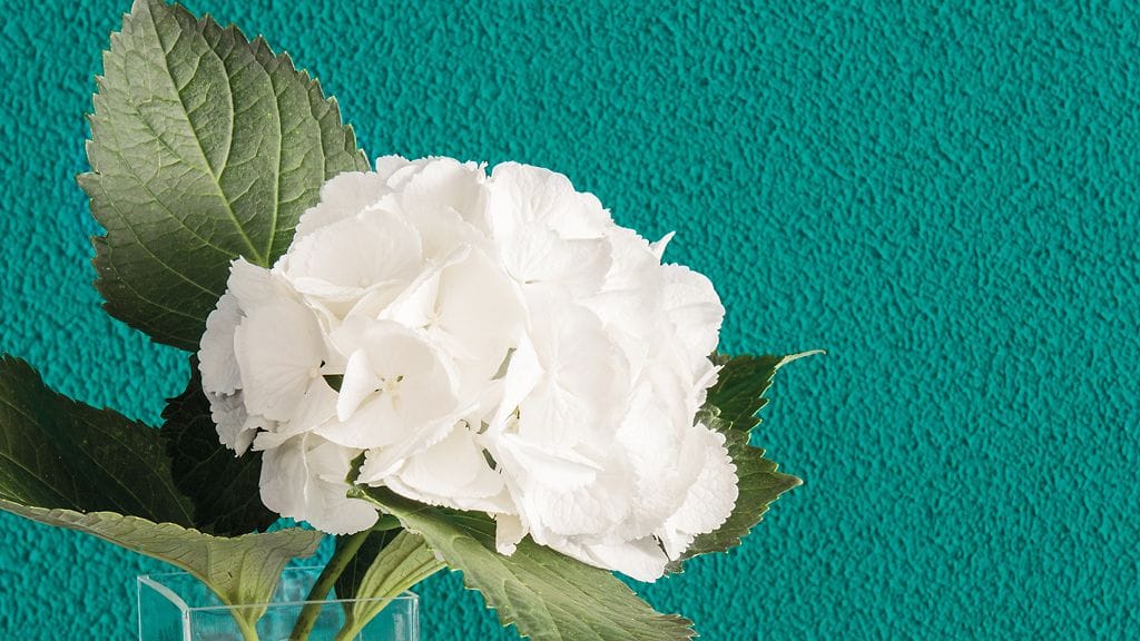 Kolibri Sand -koristepinnoite