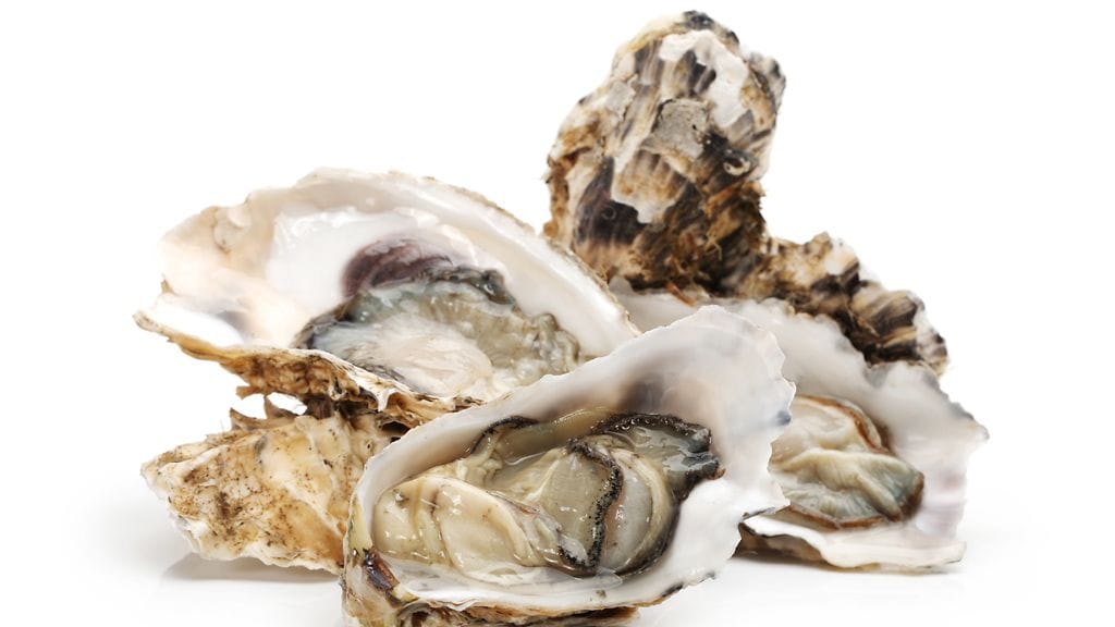 Osterit ovat limaisia ja harmaita, mutta herkullisia.