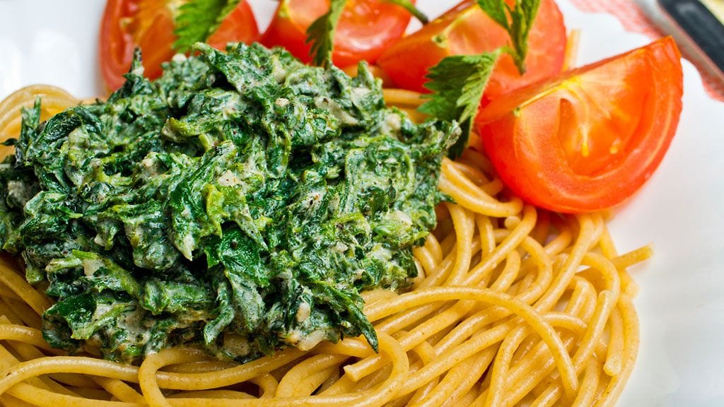 Nokkosesta syntyy esimerkiksi terveellinen pastakastike