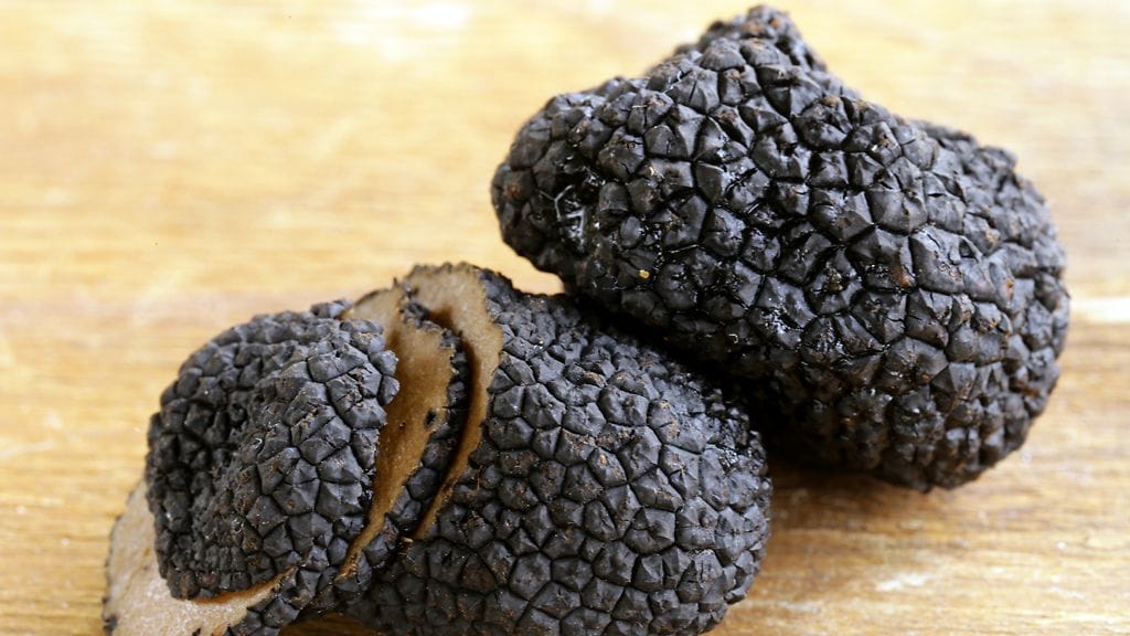Tryffelin musta pinta on täynnä pieniä nyppylöitä.