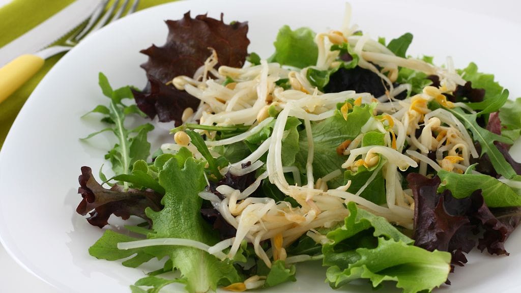 Pavun idut sopivat erinomaisesti sellaisenaan salaatin täytteeksi.