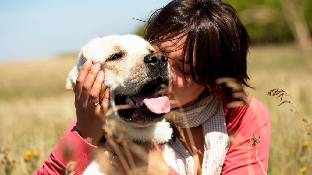 Lemmikin omistamisella on hyviä vaikutuksia.
