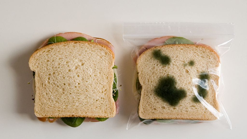 Kuvakaappaus sivustolta thinkofthe.