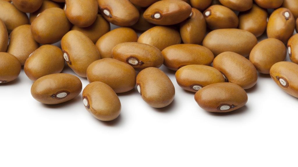 Pavut ja linssit ovat loistavia proteiininlähteitä.