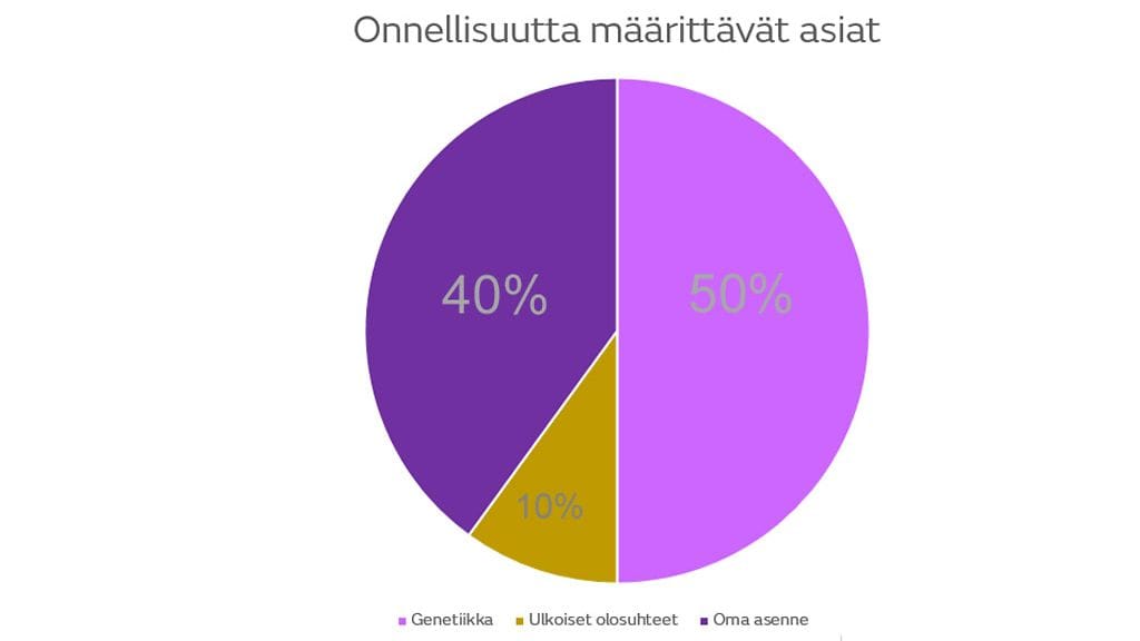 Onnellisuuspiirakka