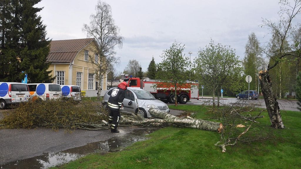 Kauhajoella ukkosmyrskyn kaatama vanha koivupuu kaatui pikkuauton päälle painaen katon sisään, hajottaen tuulilasin ja aiheuttaen peltivaurioita. Nyt vahingot jäivät aineellisiksi, sillä viittä minuuttia aiemmin autossa istuivat jäätelöä syömässä äiti ja kaksi lasta.