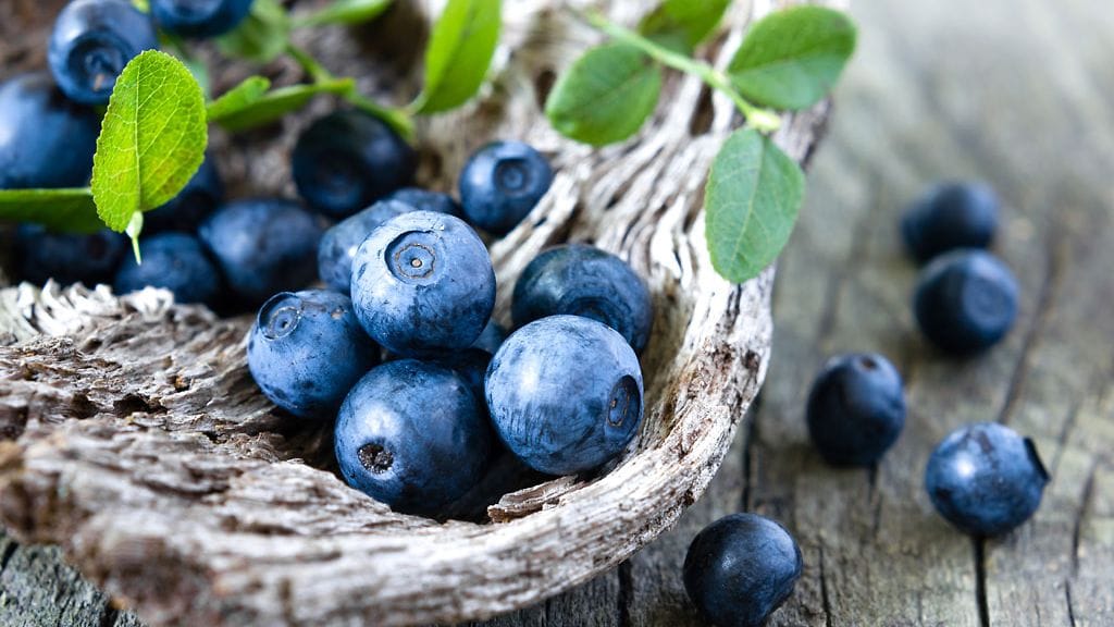 shutterstock_147690128