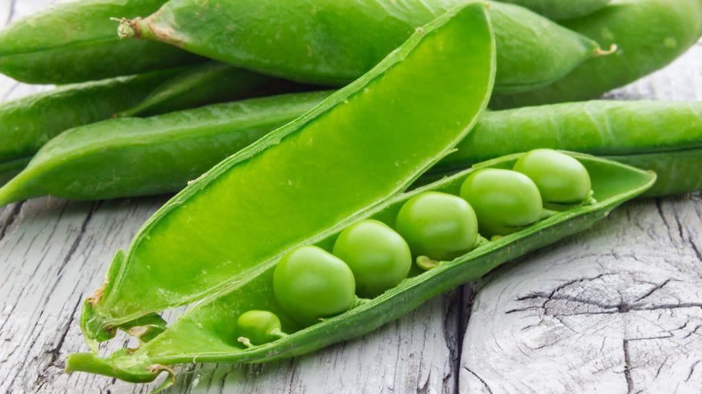 Palkokasveista paljastui yllättävä terveyshyöty.