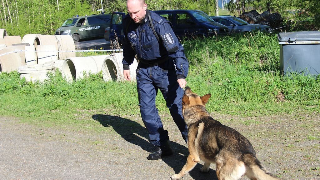 Poliisikoira leikkii ohjaajansa kanssa. Arkistokuva.