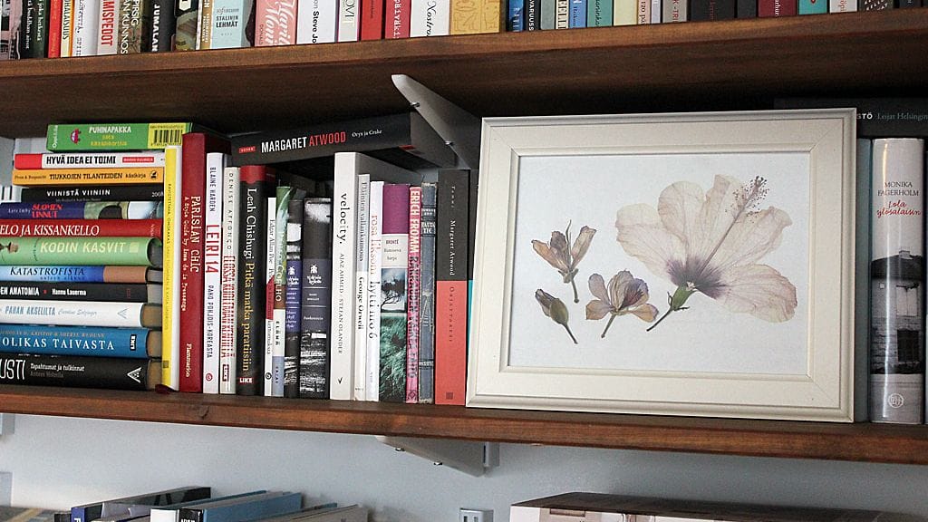 Yhteiset lukuhetket ovat kuin laittaisi päivittäin talletuksen korkeakorkoiselle tilille, uskoo tutkija. Kuvituskuvassa yksityiskodin kirjahylly.