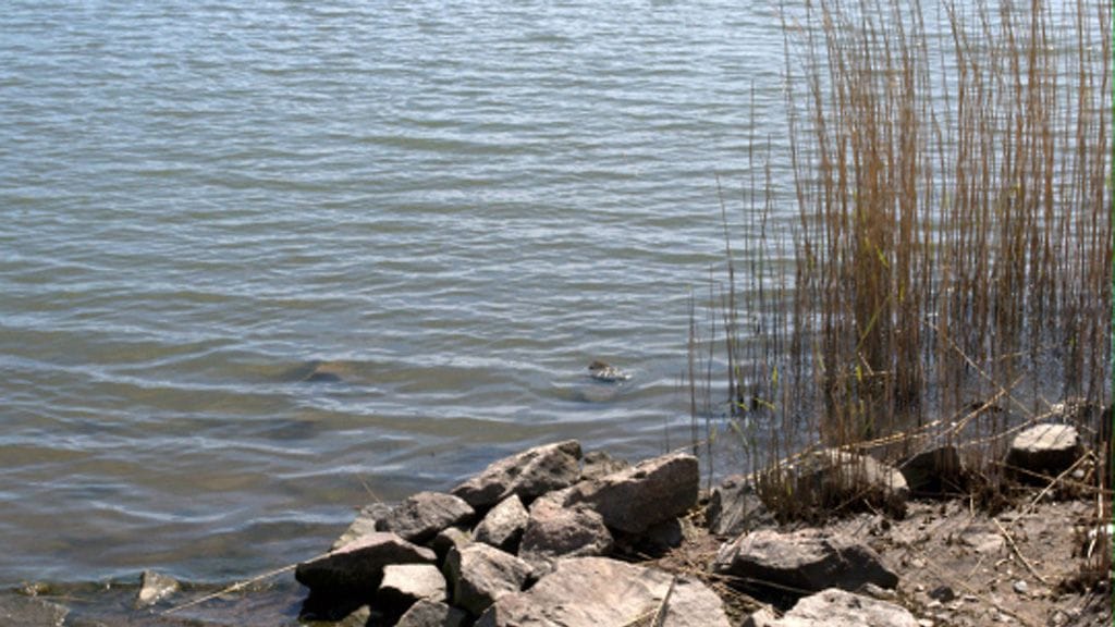 Arkistokuva. Kuva ei liity uutiseen.