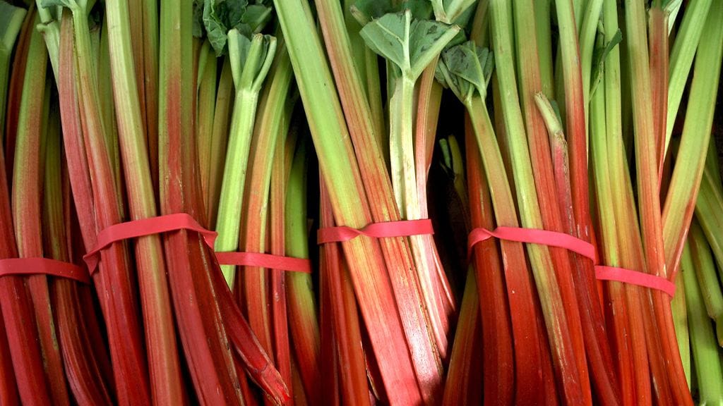 Raparperi on yllättävän monipuolinen raaka-aine.