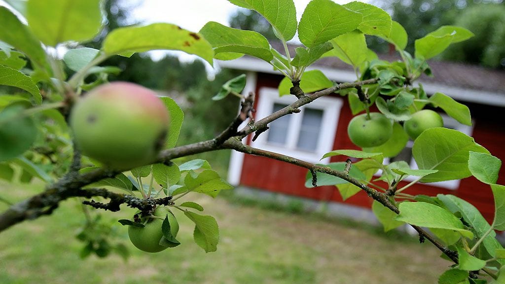 Vakituisesti mökeillään asuu Savon Sanomien mukaan noin 24 000 suomalaista. Kuvituskuva.