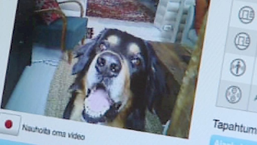 Nero on Saksmanien perheen filmitähti.