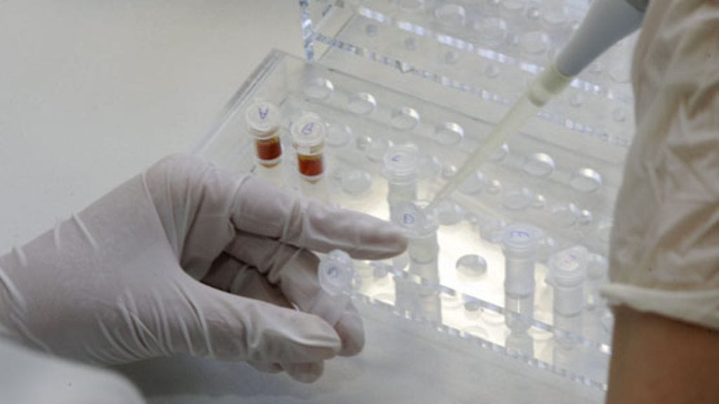 Matkalta voi tuoda tuliaisena suolistobakteerin.