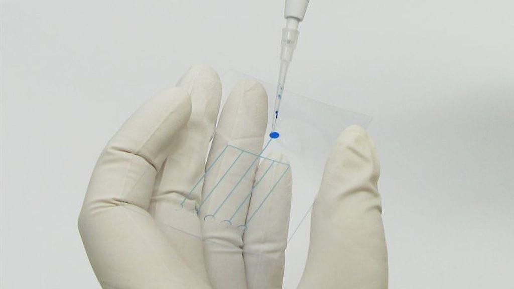 Uuden yhtiön on sanottu jakautuvan maatalouden tuotteiden, materiaalien ja erikoistuotteiden liiketoiminta-alueisiin. Kuvituskuva.