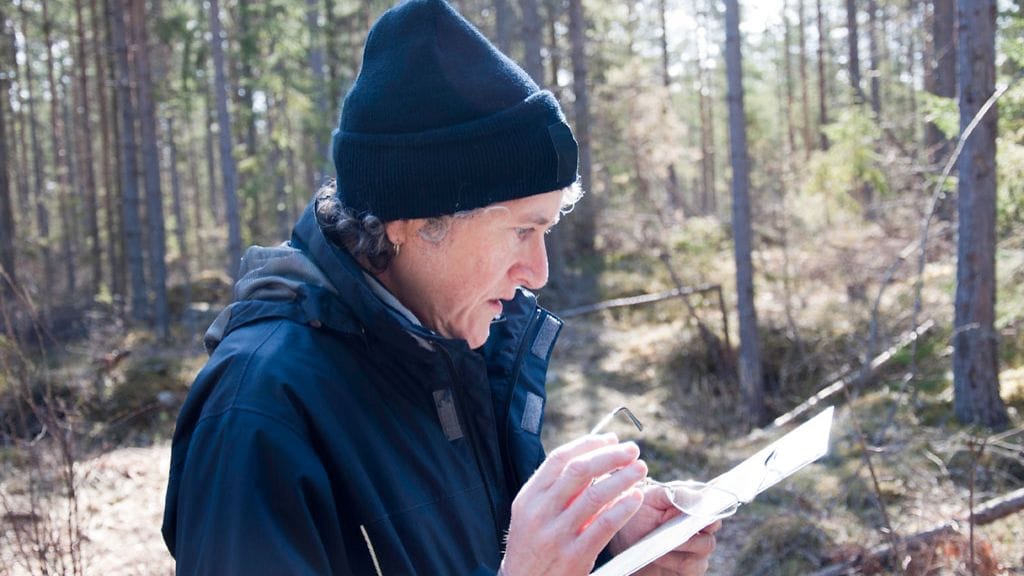 Suunnistaja katsoo karttaa metsässä