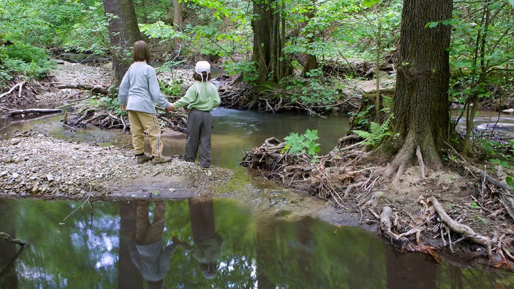 Lapset leikkivät metsässä