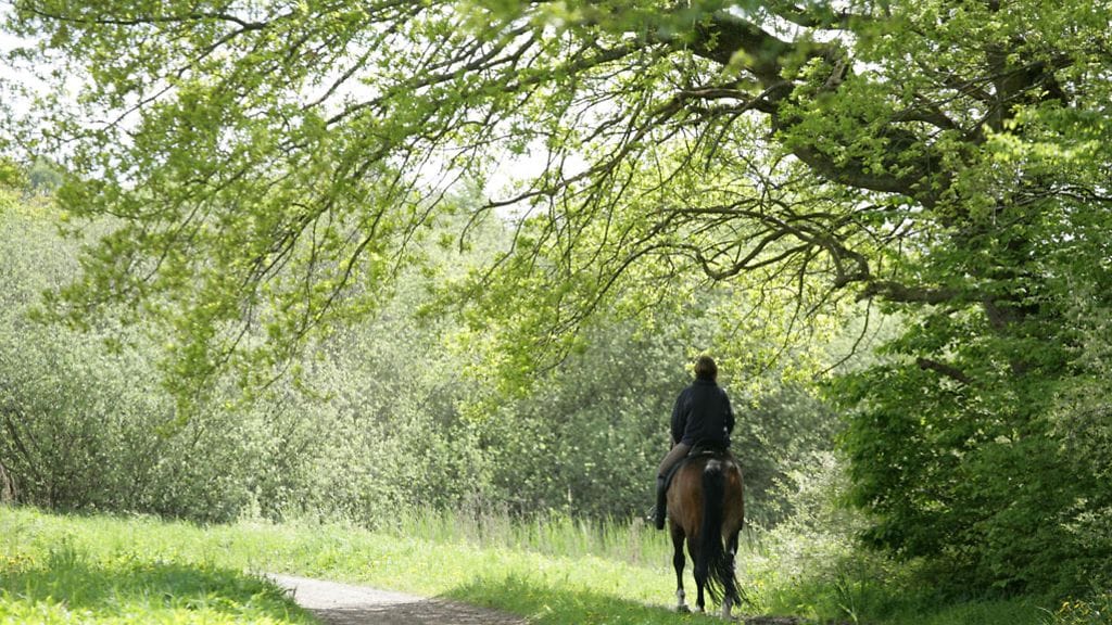 Ratsastaminen? Sallittua!