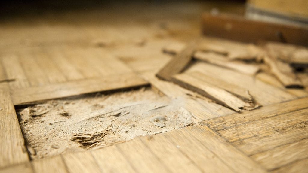 Kosteuden takia purettua parkettia.