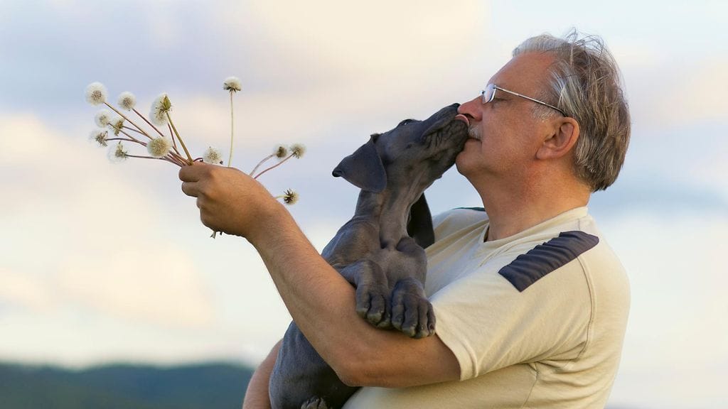 Kun rakastat jotakin, näytä se.