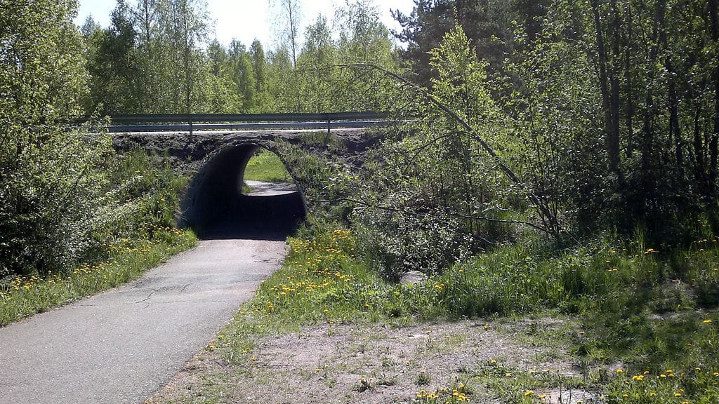 Poliisi sai miehen kiinni Hyvinkään keskustan tuntumasta Jokelantien varrelta maastosta.
