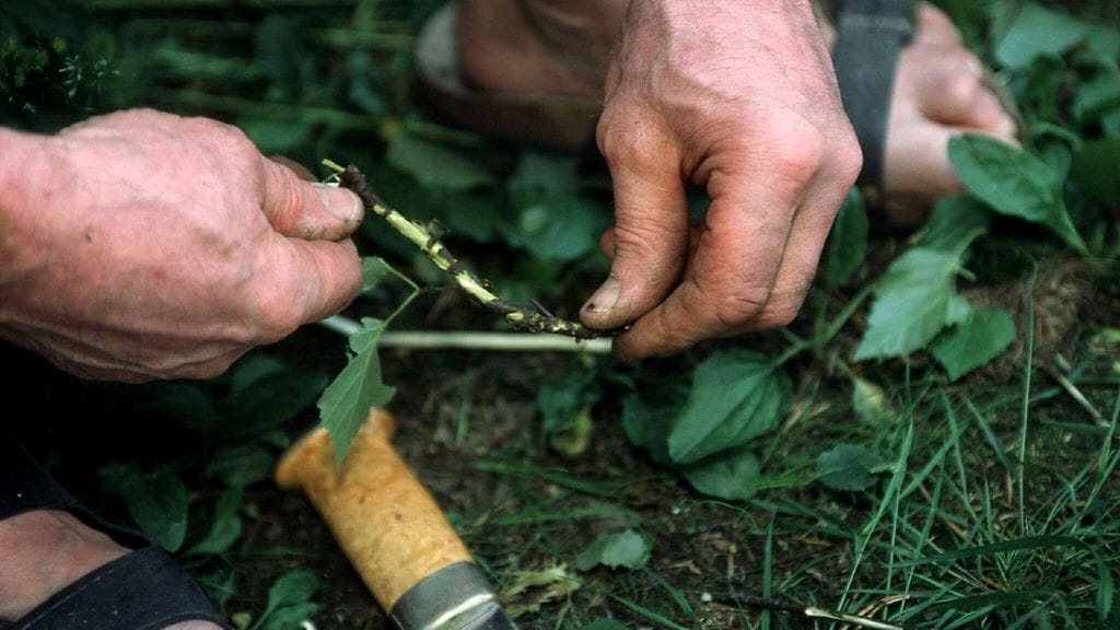 vihta vasta solmiminen