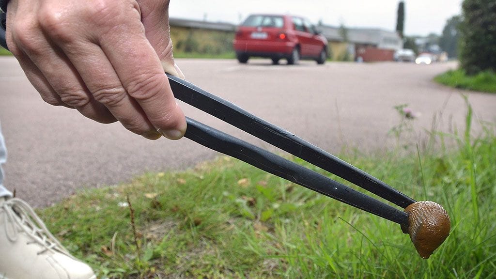 Ahvenanmaalla jahdataan etanoita. (Kuva: Lehtikuva)